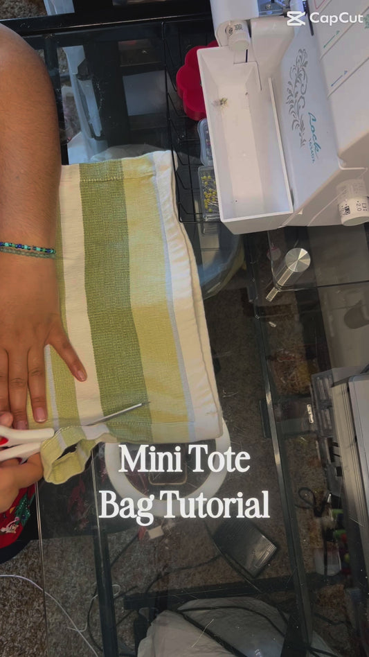 Stripe Savvy Mini Tote Bag